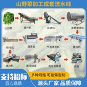 速冻油麦菜青菜清洗加工设备 蔬菜莜麦菜苦菜漂烫冷却流水线机器