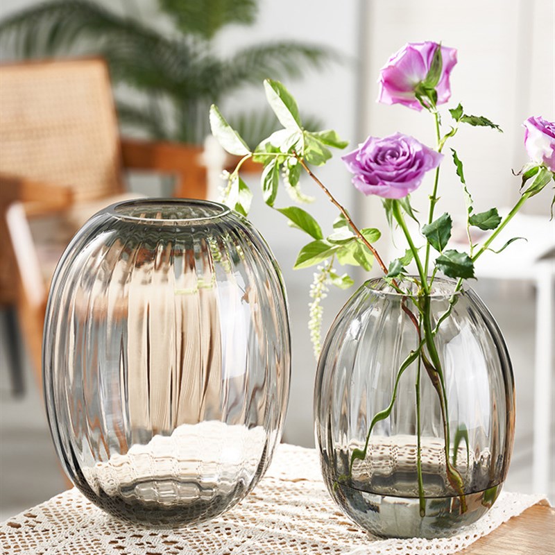 简约网红玻e璃花瓶摆件轻奢原色玻璃透明水养鲜花客厅餐桌装饰插