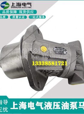 上海电气马达A2FE56/63/80/90/107/125W6.1VZL10PT2017斜轴柱塞泵