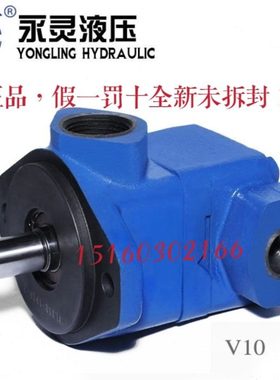 YLC永灵叶片泵V10-1P1P 2P 3P 4P 5P 6P 7P-1A-R 1B/1C/1D-R L 20