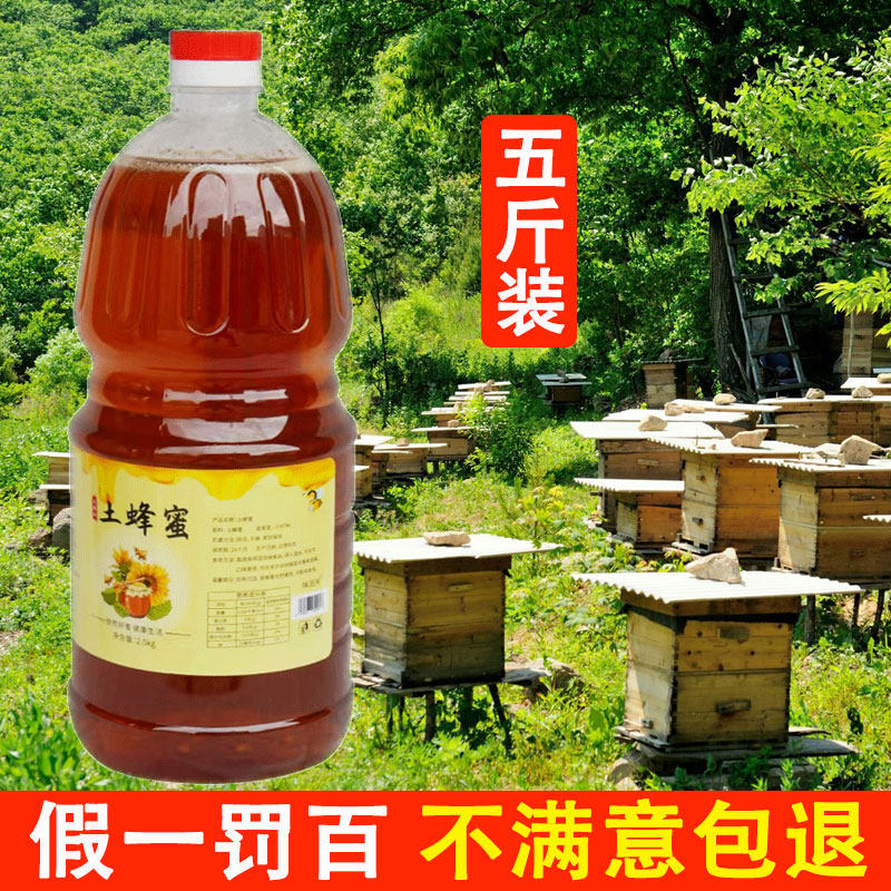 煌小馋5斤装土蜂蜜纯正天然百花蜜大瓶装农家自产大桶装五正宗峰