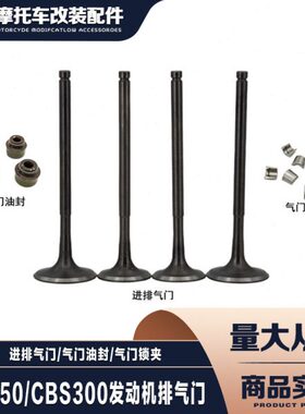 波速尔 极盗者 战狼越野车NC250 CBS300发动机进排气门 油封 锁夹