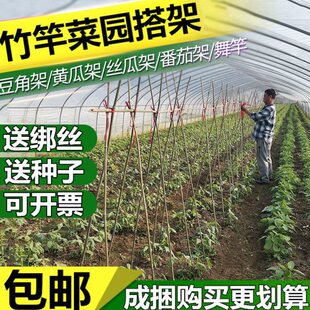 菜园搭架竹竿豆角黄瓜丝瓜番茄西红柿爬藤架篱笆围栏细竹子彩旗杆