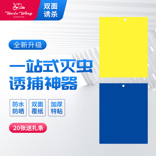种花王大爷粘虫板黄板双面诱虫板蓝板黏沾灭杀纸贴小黑飞蓟马粉虱