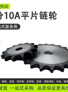 5分10A平片链轮4分08B10A6分12A1寸16A20A24A32A工业链条链片齿轮