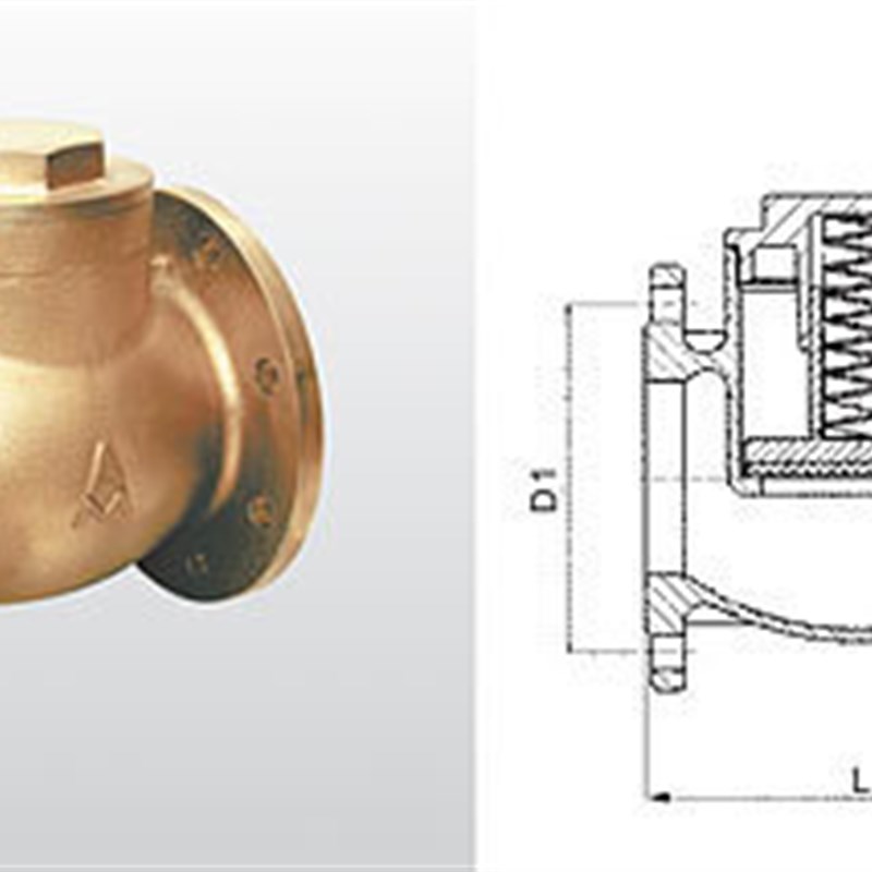 正品埃美柯416黄铜法兰升降式缓闭止回阀单向阀DN506580100专卖店
