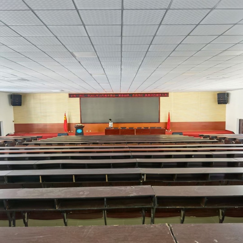 T8会议音响套装 中小型会议室系统设备 音箱专业无线话筒套装