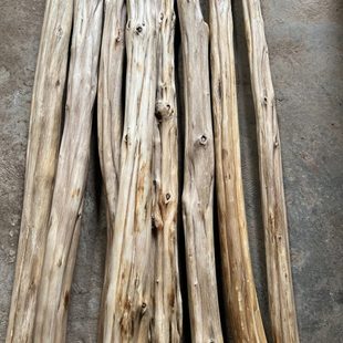 老木头树杈风化木木头老料老云南老木头朽木枯木烂木头树枝枯枝