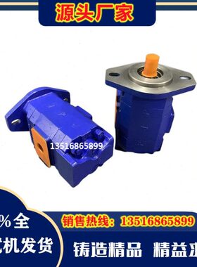 泊姆克P124-G16182LD54GBO齿轮泵P124-G16182LD-54G877-01109油泵