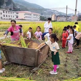 怀旧农具老物件大米斗打稻桶禾桶复古民俗农用工具摆件收藏道具