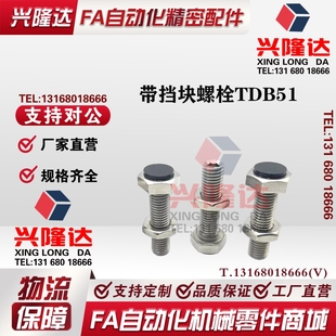L25 止动螺栓 M12 带挡块 L30 L50 L40 TDB51 L60 M10 L35 L20