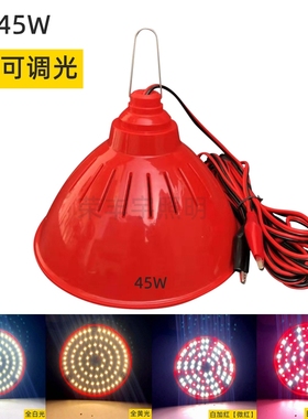 12V水果灯LED生鲜灯 24V48V60V卤菜烧腊熟食灯节能地摊灯红色调光