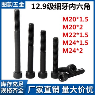 1.5M24 2M22 1.5 12.9级细牙内六角高强度杯头幼牙螺钉M20