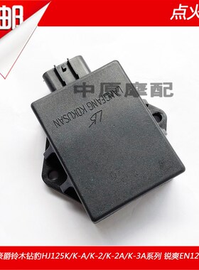 适配豪爵铃木锐爽钻豹HJ125K/K-2/EN125-2/3/A/F 点火器电子打火