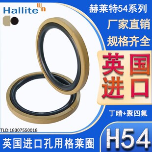 4.2 8.1 6.3双向 6.3 英国进口Hallite孔用格莱圈H54