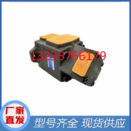 PV2R32-66 76 94 116 125 136/17 26 33 41 47 53 59-F1仙居永灵