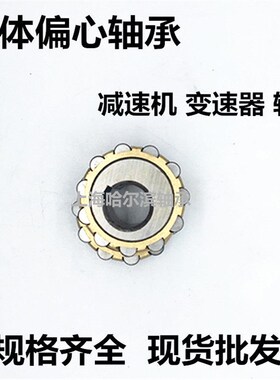 减速机整体偏心轴承50752904 80752904 70752904 100752904 K Y1