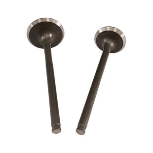 统御 适用 气门 WH125 11B 新锋翼 气阀杆 11A