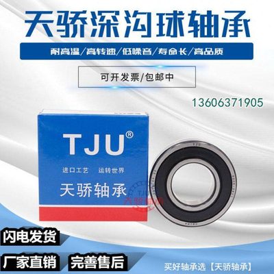 天骄轴承16015 16016 16017 16018 16019 16020 16021  ZZ