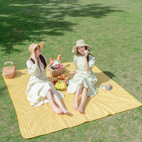 野餐垫防潮垫便携帐篷露营垫子加厚野炊网红用品户外野营防水地垫