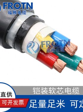 阻燃铠装软电缆ZA-RVV22 4*10/16/25/35/50