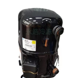 TAG5536E TAG4573Z TAG5573E 冷库泰康制冷压缩机TAG4561Z 原装