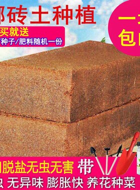 椰粉椰砖椰糠椰土兰花土营养土无土栽培宠物垫材种菜种花脱盐泥土