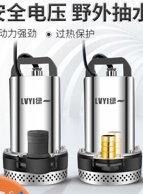 农用48V直流潜水泵12V48V60V高扬程电动车家用抽水泵 水泵