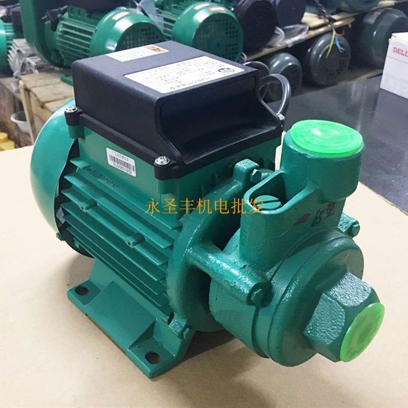 广东凌霄1DB35 1DB45 1DB65 -B清水泵330W 家用抽水机550W 750W