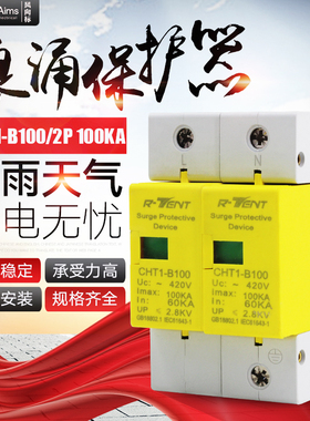 浪涌保护器避雷器2P100KA 防雷开关 电涌保护器 光伏交流浪涌防雷