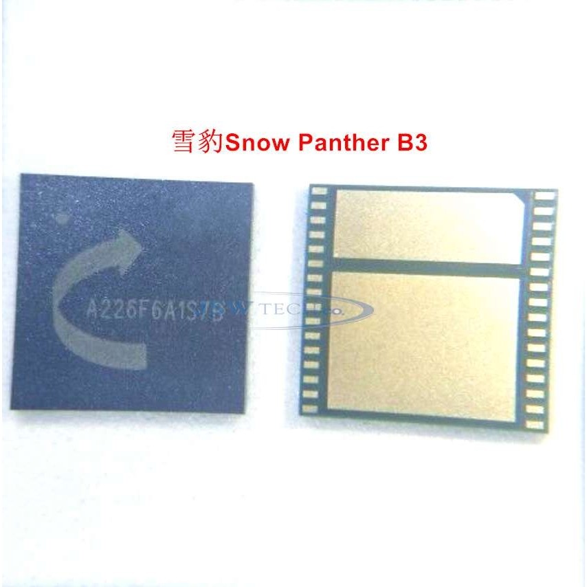 Nieve Pantera B3 Hash de 10NM ASIC chip