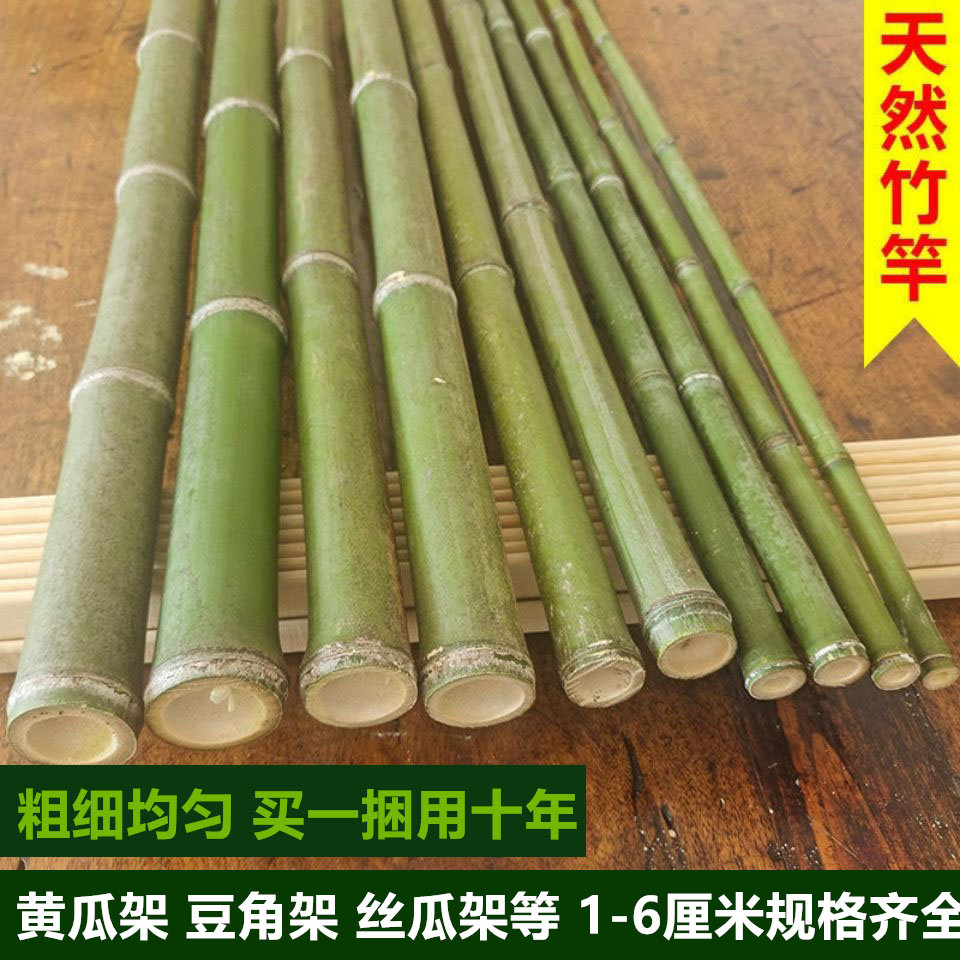 竹竿子花架小竹杆爬藤架竹竿菜园搭架豆角黄瓜支R架竹篱笆栅栏彩