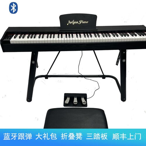 罗立卡RB100便携式电钢琴ROLYCA电子钢琴家用88键重锤初学者