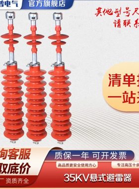YH5WX-54/150 HY5WX-51/134 35KV架空线路型悬式避雷器 配绝缘子