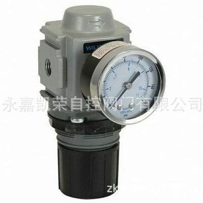 WILKERSON过滤器F30-06-M00 C28-04-FKG0 R26-C4-GH0 R18-03-F0G0