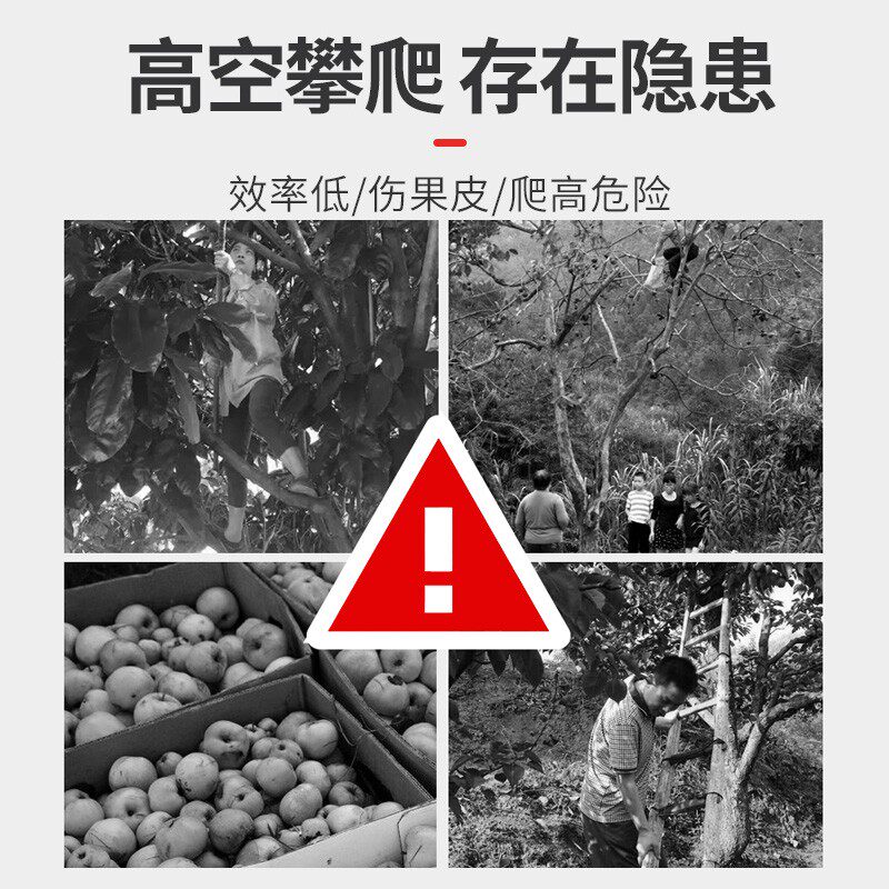 采摘神器摘果子神器伸缩杆多功能高枝树上摘柿子不锈钢带修建果树