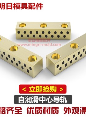 行位滑块自润滑中心导轨M-CGZ带油槽/行位导向块/导滑块 模具配件
