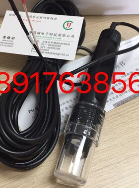 PH电极 K-5600配套PH电极 2002配套PH电极 PH值探头 ORP电极