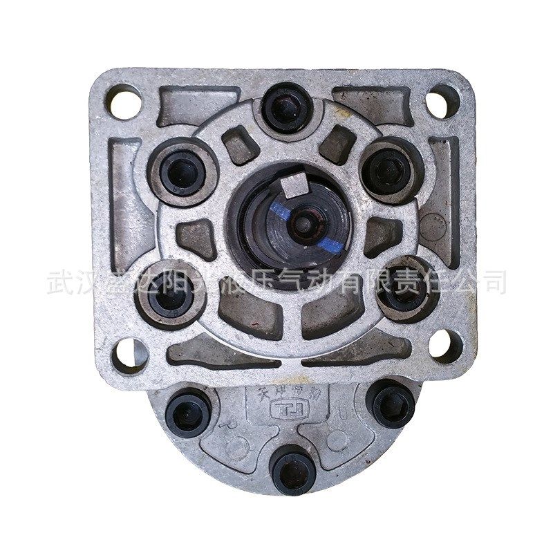 直销 无锡 上海 河北等 电动齿轮泵 CB-E532 CB-F532 质保一年