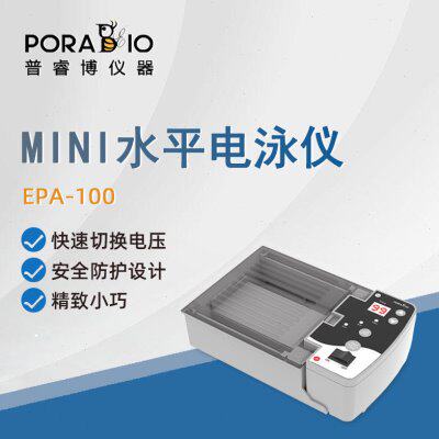 普睿博水平电泳仪EPA-100实验室数显定时电泳槽电源二合一电泳仪
