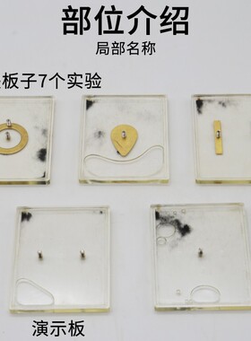 电场线演示器J23053物理电磁学实验器材初中学生用学具教学教具仪