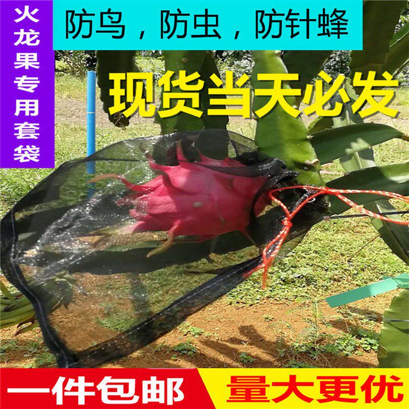 尼龙网袋火龙果套袋专用套果袋葡萄套袋水果套袋防果蝇防虫防鸟袋