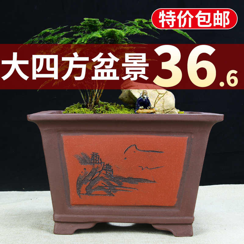 特大正方形紫砂兰花盆清仓包邮大四方绿植梅花树桩盆景专用陶瓷盆