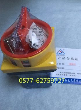 LW30-63 300010 LW30-40 LW30-80转换开关 电源切断开关