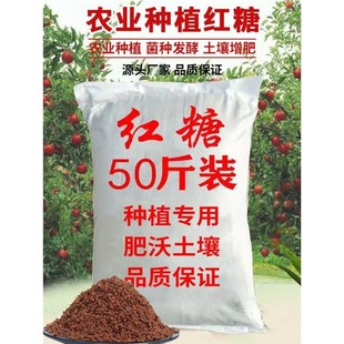 发酵用红糖农业专用种植红糖粉植物酵素酵母粉农用种菜果树蔬菜肥