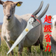 手动羊毛剪专用家用商用SK5钢宠物猫狗毛剪羊毛剪省力弹簧羊毛剪