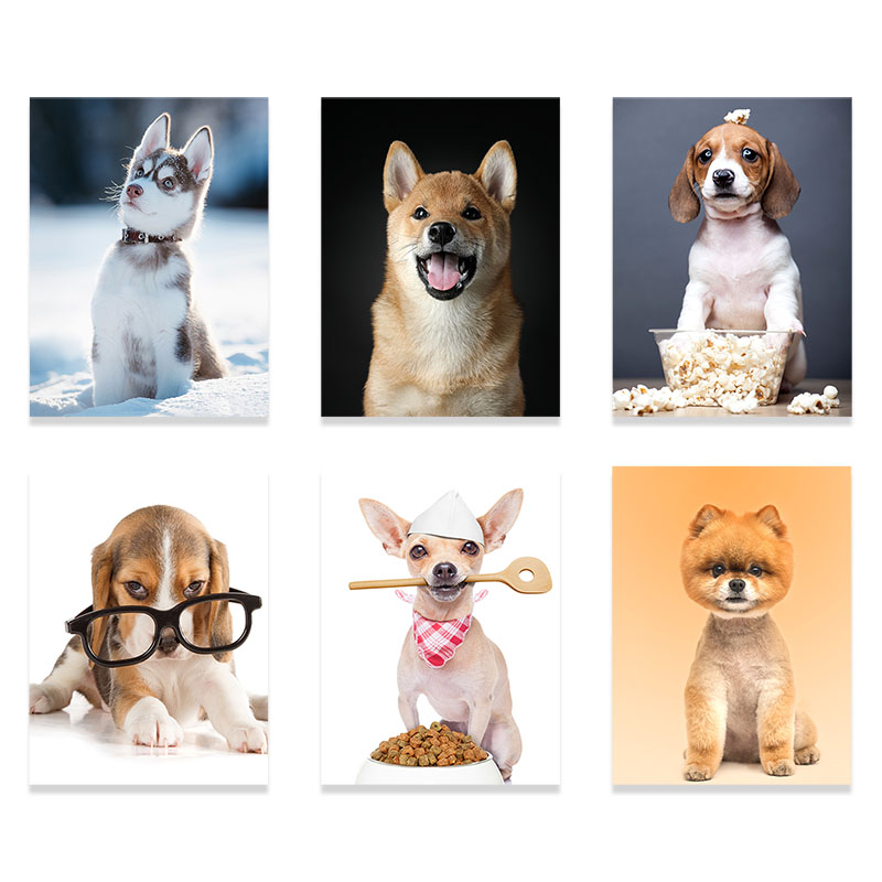 动物狗狗猫装饰画画可爱儿童房挂画画宠物店壁画画现代简约无框画图片