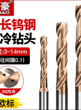 加长内冷钨钢钻头超硬定柄D4D6D8D10D14中心出水硬质合金麻花钻咀