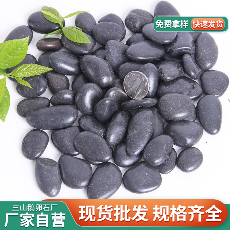 黑色抛光鹅卵石园林铺路庭院造景雨花石鱼缸景观石头石材天然石