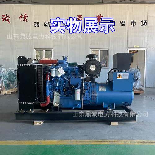 发电机组30/50/100千瓦YC2115ZDYCD4T22D-80YCD4Y32D-135
